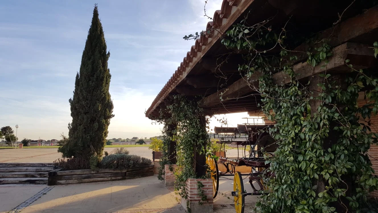 Finca 2 · foto 2