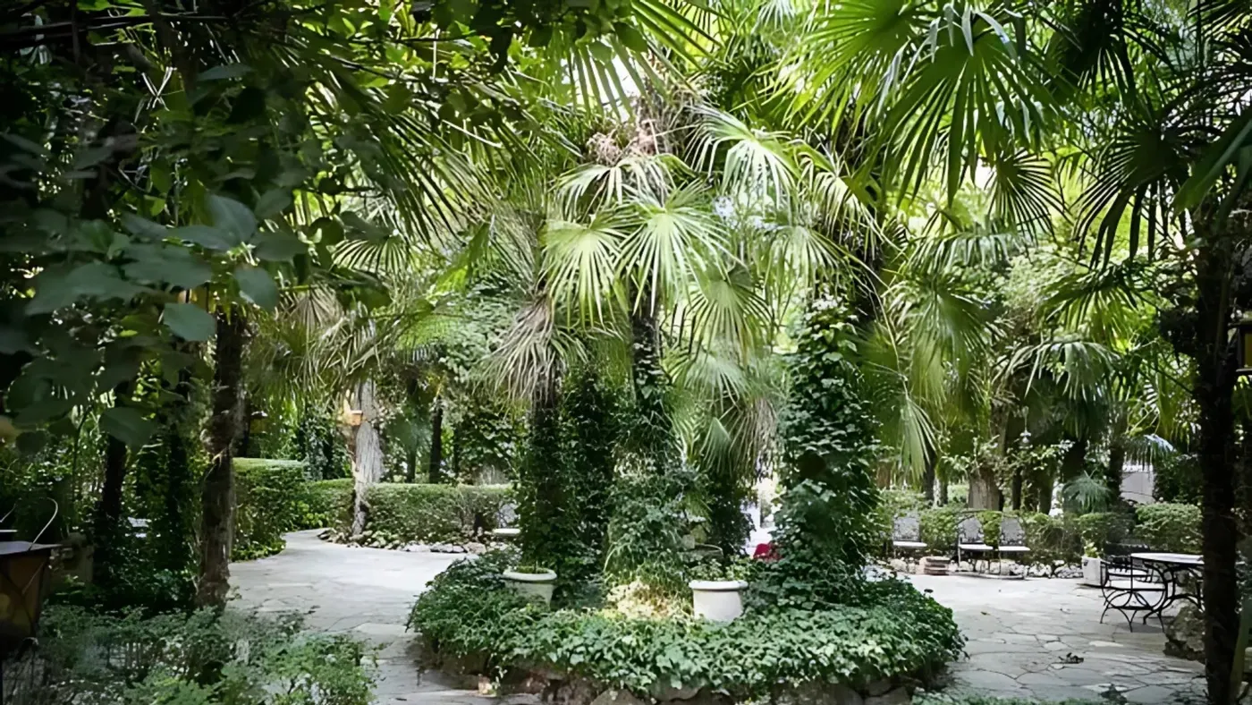 Finca 3 · foto 3