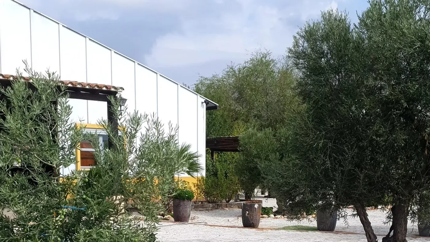 Finca 4 · foto 6