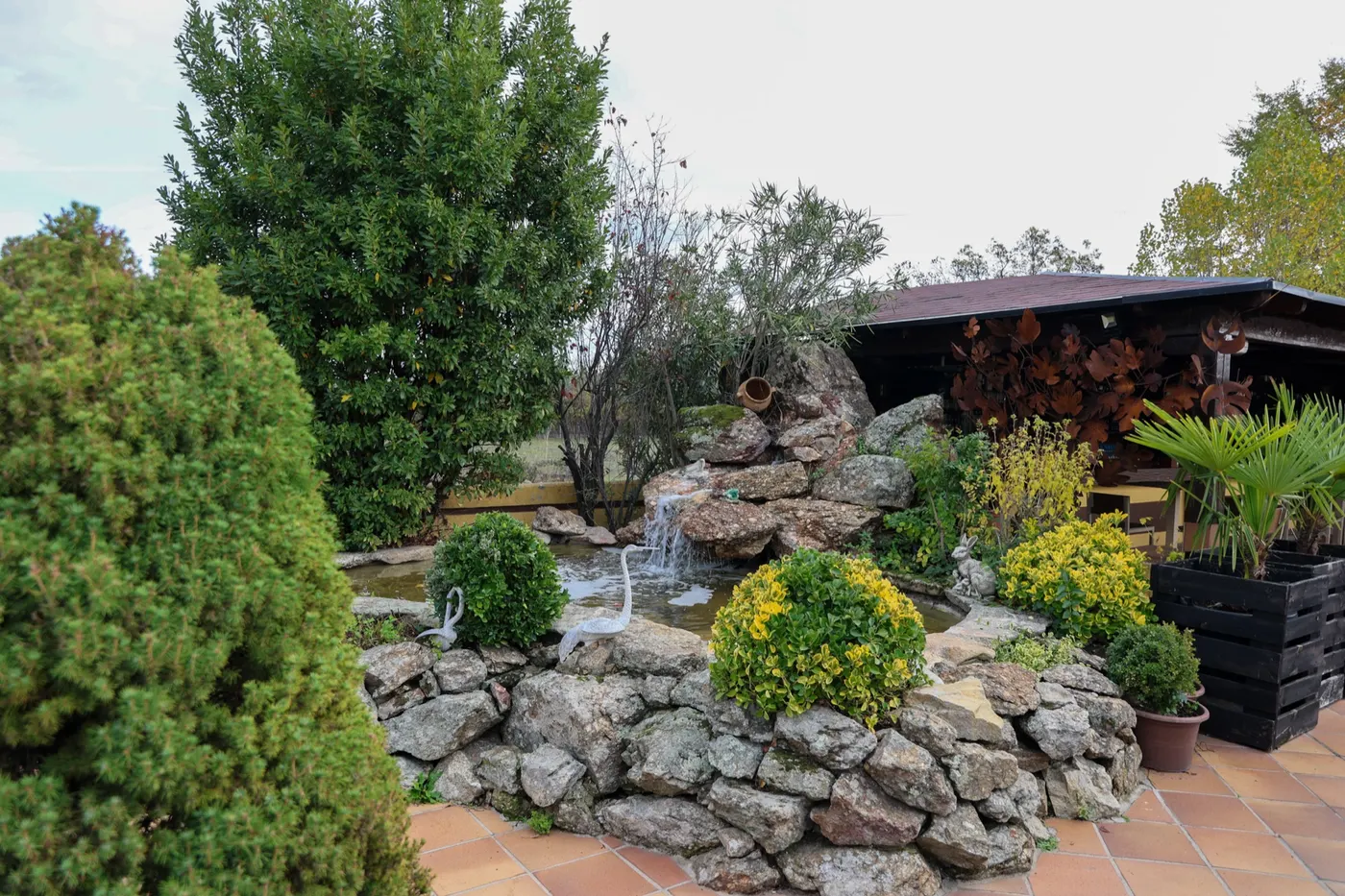 Finca 6 · foto 2