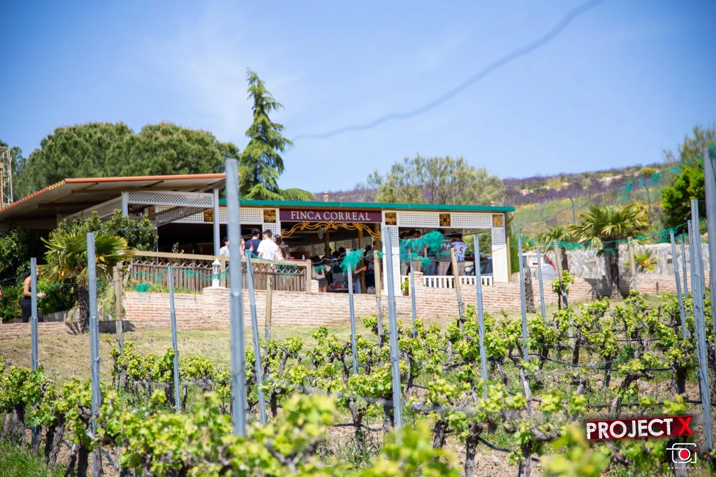 Finca 8 · foto 1